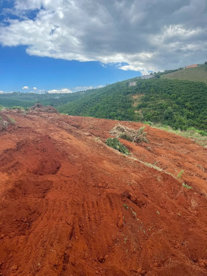 Bán Gấp Đất Đỏ Lâm Hà 9500m² - Sổ Đỏ Sẵn Sàng - Giá Đầu Tư 2.2 Tỷ