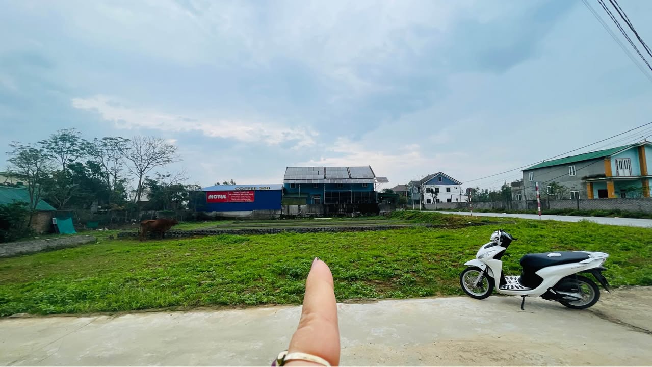 Đất nền Nghi Phong, Nghi Lộc 59.8m² – Tiềm năng tăng giá vượt trội!