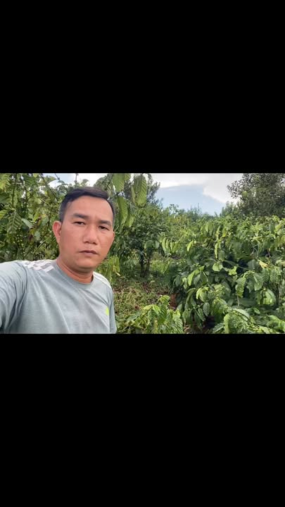 Đất vườn 3.7ha Đắk Búk So, Đắk Nông - Sinh lời bền vững, sổ đỏ sẵn sàng!