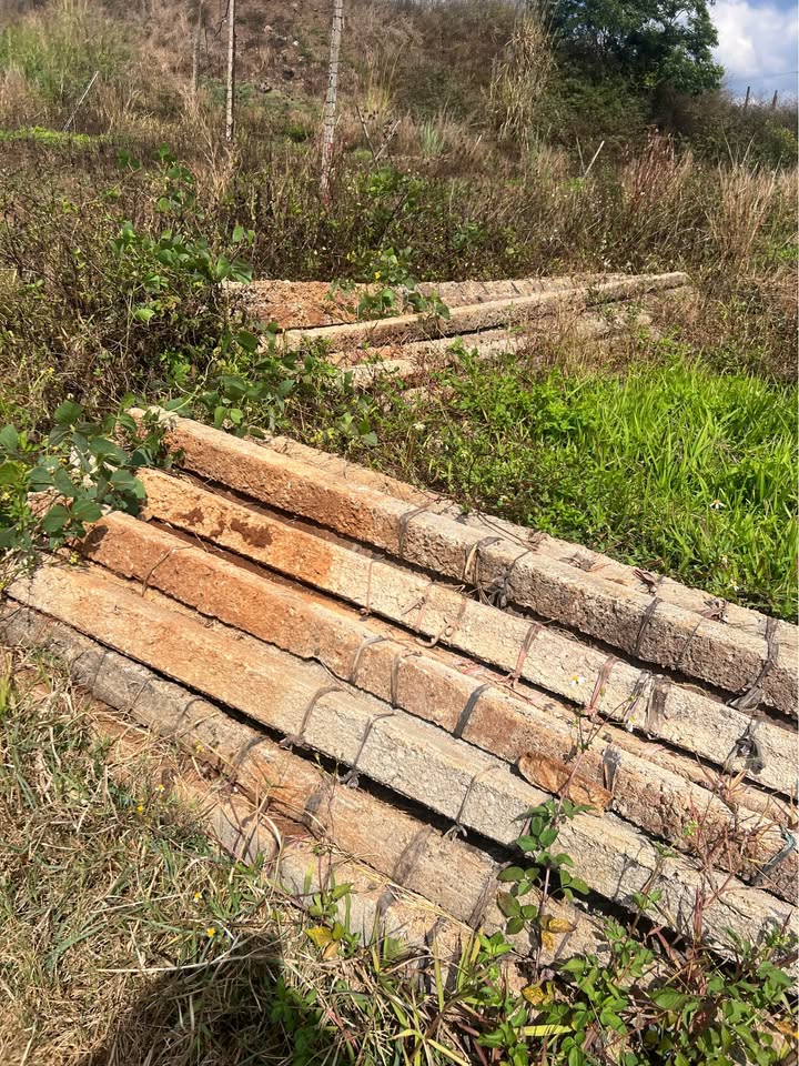 Bán Gấp 10.000m² Đất Đỏ Bazan Biển Hồ, Pleiku - Giá Đầu Tư 1.6 Tỷ