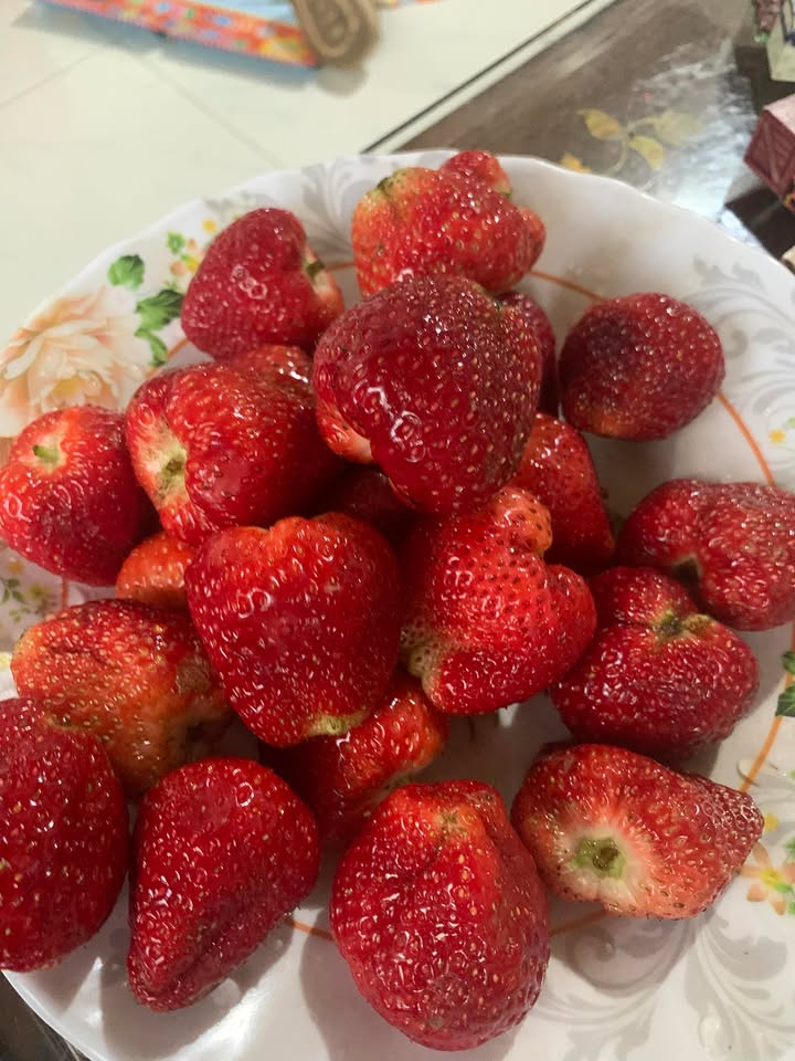 Đất Nền Đam Rông 15.000m² Mặt Đường Bê Tông - Sổ Đỏ Chính Chủ