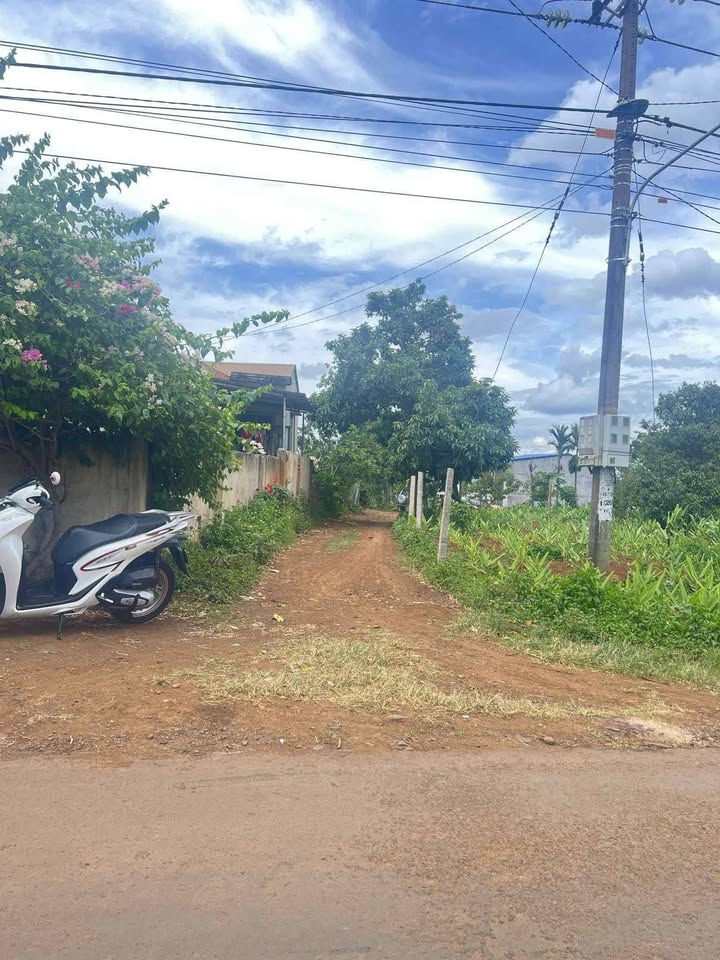 Đất Nền Buôn Hồ 600m² (15x40m) - Sổ Đỏ Vuông Vắn, Giá Đầu Tư