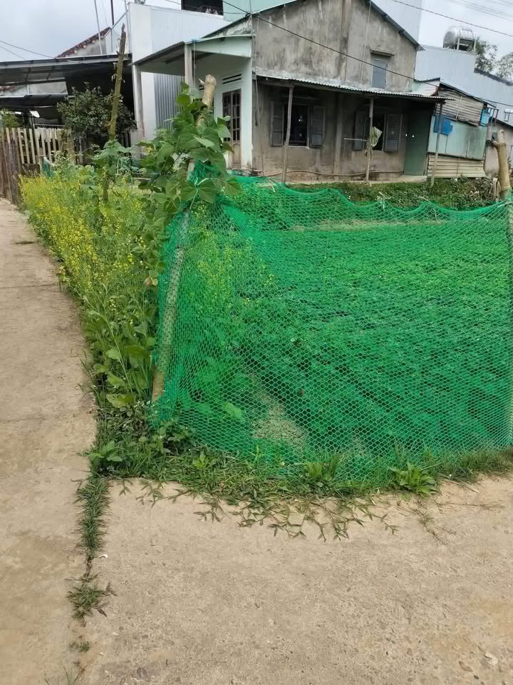 Đất nền Quế Xuân 1, Quảng Nam 200m² - Tiềm năng tăng giá hấp dẫn!