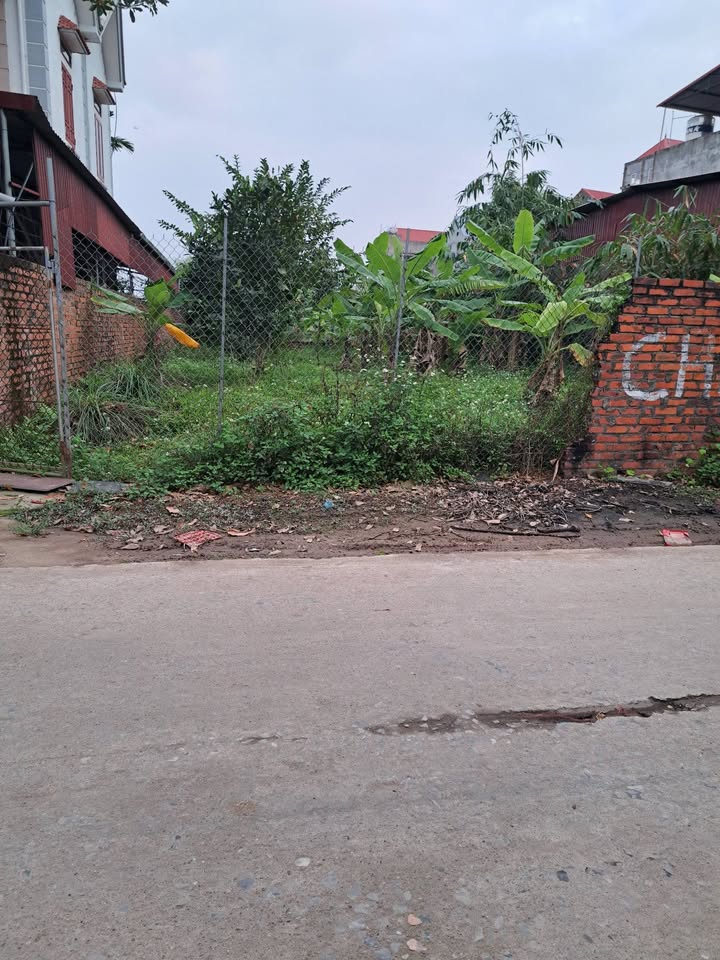 Đất nền Tân An, Bắc Ninh 117.5m² - Sổ đỏ chính chủ!