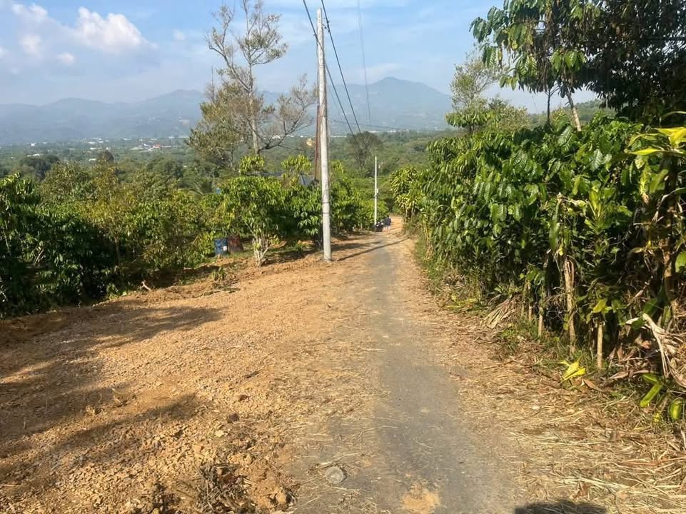 Đất nền Tân Lạc Bảo Lâm 12.000m² 950tr/sào - Pháp lý rõ ràng