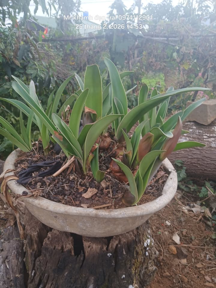 Đất Farm Lộc Quảng 1.4ha - Đầu tư sinh lời, ôm suối tự nhiên!