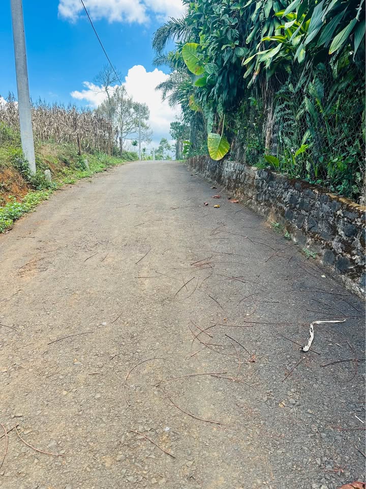 Đất 150m² Sổ Đỏ Ngay UBND Lộc Ngãi - 750 Triệu