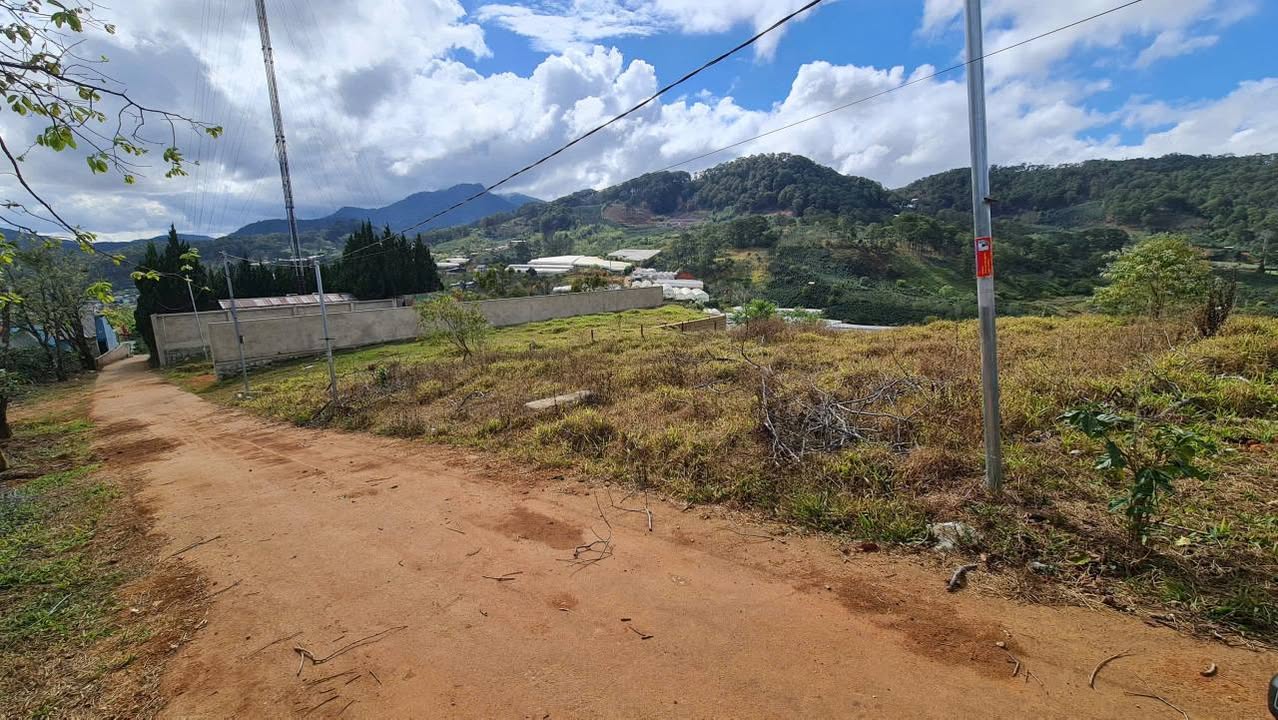 Đất Nền Lạc Dương 251m² - Sổ hồng thổ cư, giá 2.1 tỷ