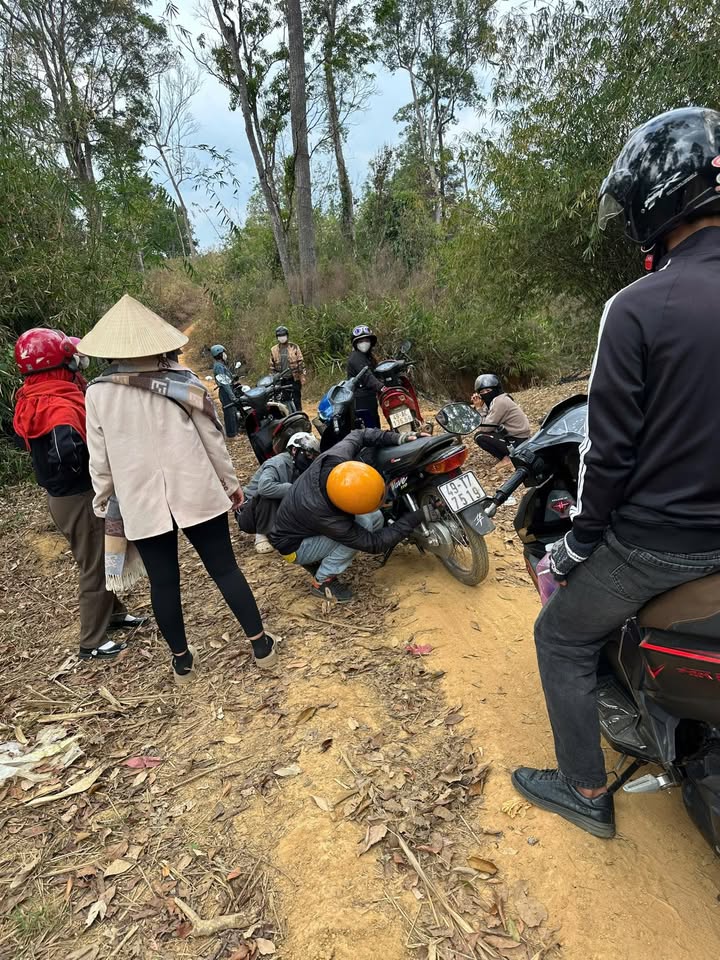 Đất Vườn Lâm Hà - 3000m² Sẵn Sàng Trồng Trọt - Giá Đầu Tư 360 Triệu