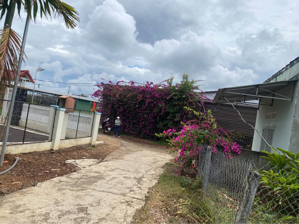 Nhà vườn Đức Trọng 350m² giá chỉ 725 triệu - Giá tốt hiếm có!