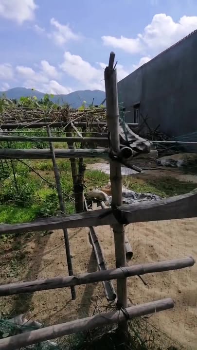 Đất nền Xã An Bình Long Hồ 227.5m² - Sổ đỏ chính chủ