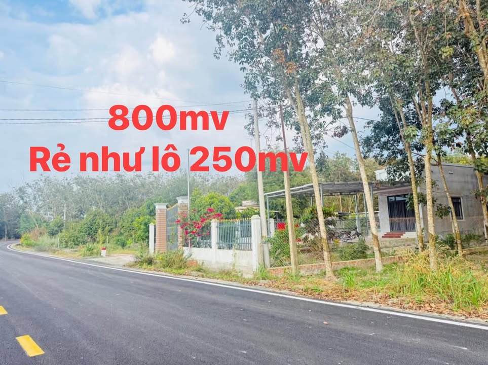 Đất nền Minh Hưng, Bình Phước: 800m² nở hậu, sổ đỏ giá chỉ 7.x tỷ