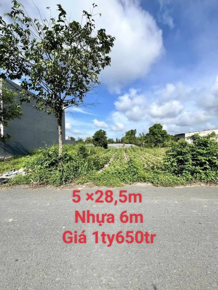 Đất nền Mỹ Hạnh Nam 142m² giá 1.65 tỷ - Sổ hồng chính chủ