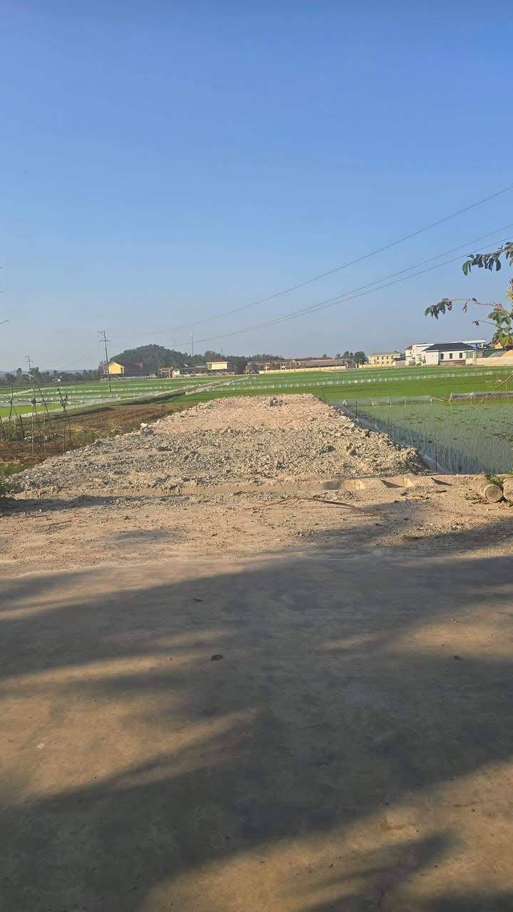 Đất thổ cư Quỳnh Diễn 256m² giá 2 tỷ - Vị trí kinh doanh đắc địa!