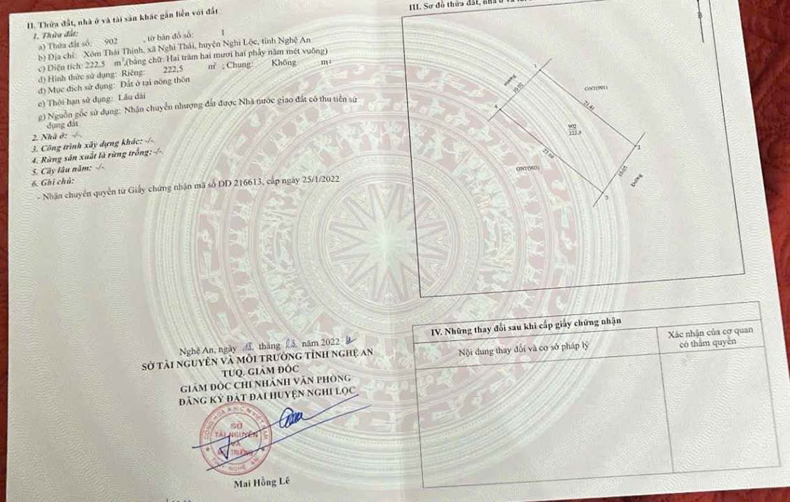 Đất nền Nghi Thái 222.5m² giá 5,x tỷ - Tiềm năng tăng giá vượt trội!