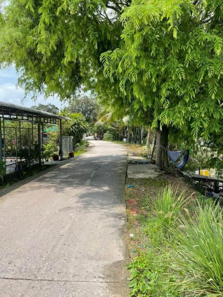 Đất nền Kênh 5, Tân Hiệp, Kiên Giang 1440m² - Đường to ô tô