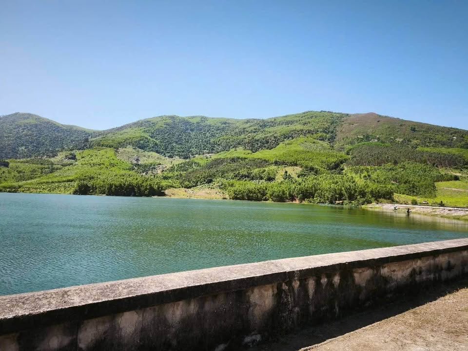 Đất nền 252m² Bình Sơn, Quảng Ngãi - Sổ đỏ thổ cư, giá lỗ