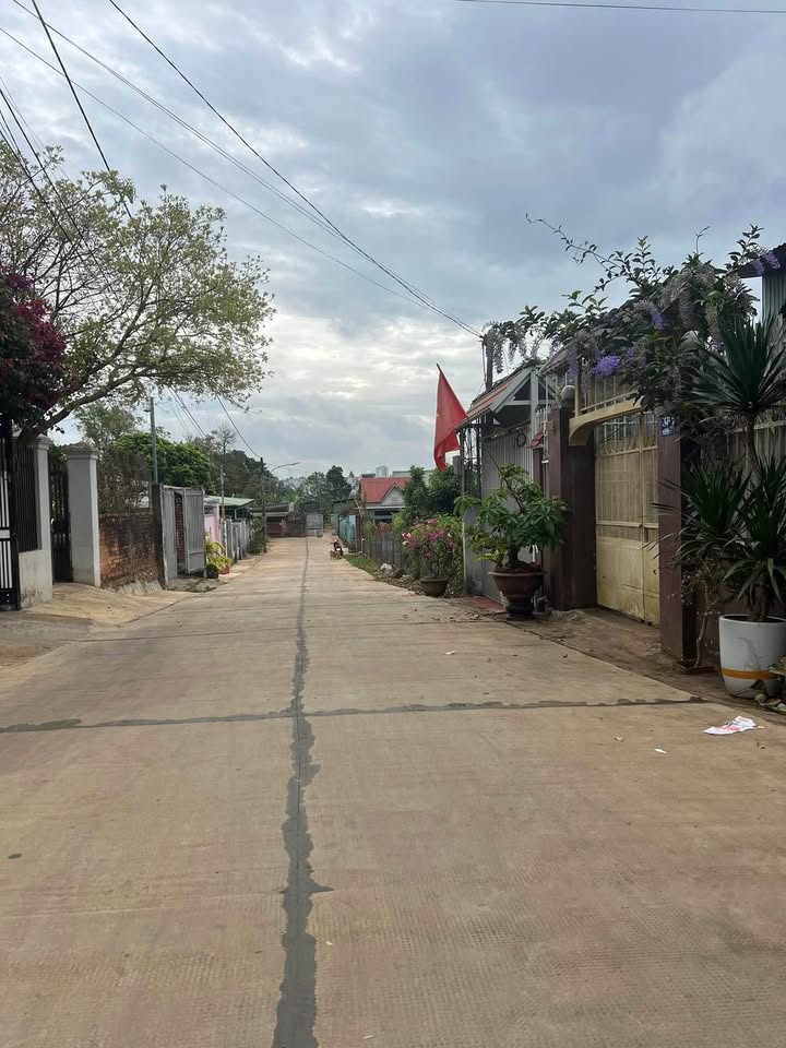 Bán Đất Trần Quy Cáp, Nha Trang 190m² - Sổ Đỏ Sẵn Sàng, Giá 1.6 Tỷ