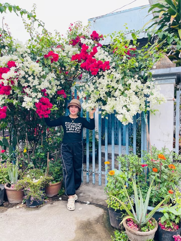 Cho thuê nhà Long Điền, Bà Rịa - Vũng Tàu - Giá chỉ từ 2 triệu/tháng