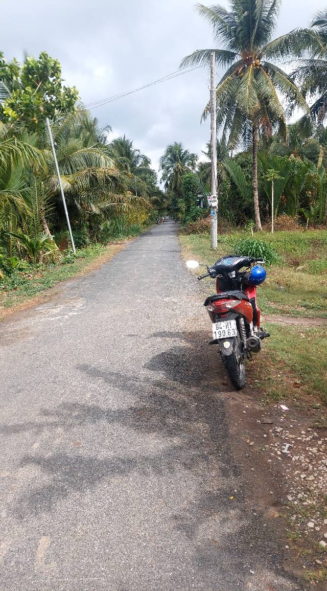 Bán Đất Vườn Dừa Tiểu Cần Trà Vinh 7.000m² - Nghỉ Dưỡng Lý Tưởng!