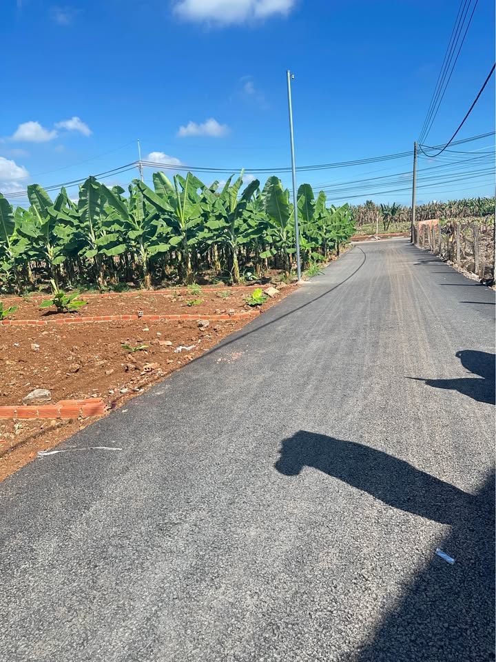 Đất nền Bàu Hàm 100m² - Chỉ 630 Triệu, Sổ Đỏ Sẵn Sàng