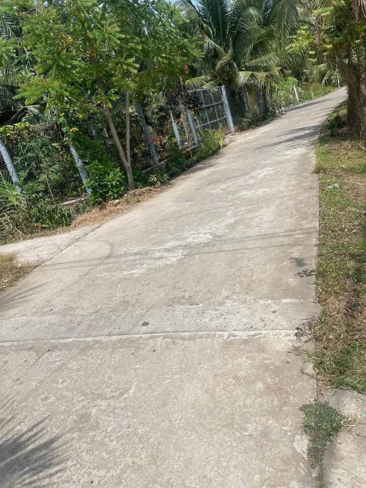 Đất Nền Xã Châu Hòa, Giồng Trôm, Bến Tre - 118m² Sổ Đỏ Riêng, Giá 390 Triệu