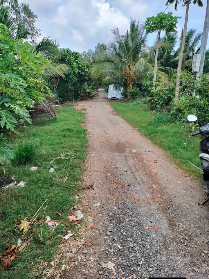 Đất nền Bình Thành, Đồng Tháp 1400m² giá 500 triệu - Sổ đỏ chính chủ!