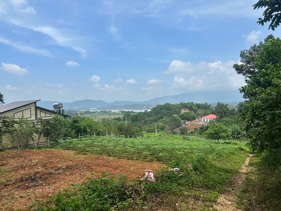 Đất Vườn Ba Vì 6753m² - Nghỉ dưỡng lý tưởng, khí hậu mát lành!