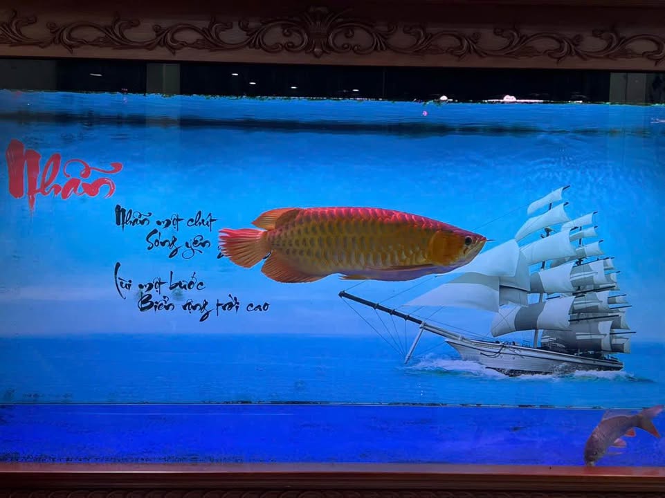 Đất nền Thôn Thượng Bắc, Ninh Nhất 87m² - Ô tô đỗ cửa, tiềm năng tăng giá!