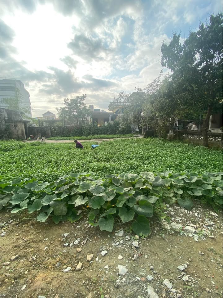 Bán đất Phúc Sơn Ninh Tiến 50m² giá 1 tỷ - Đất thổ cư sổ đỏ sẵn