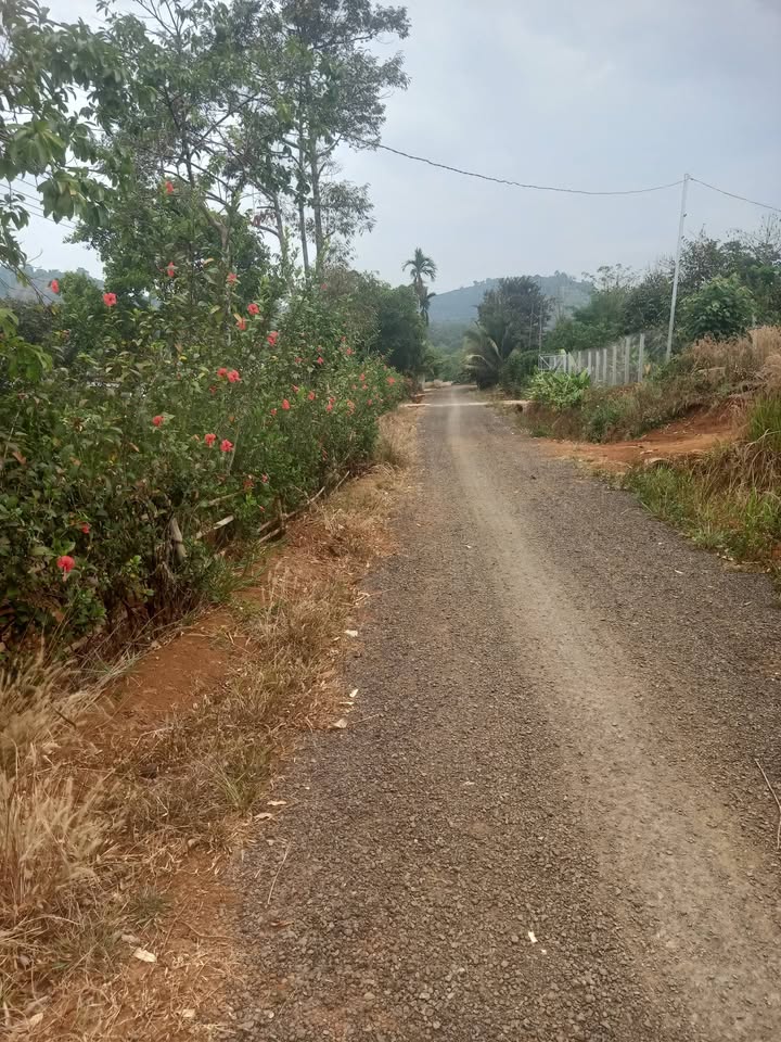 Nhà 216m² Đắk Ru, Đắk Nông - Giá 1.35 Tỷ, Ô tô Tận Nơi