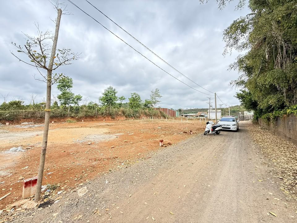 Đất nền Pleiku 115m² - Hẻm Lý Chính Thắng, Sổ đỏ chính chủ!