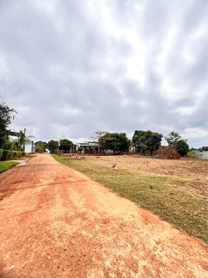 Đất nền hẻm Trương Định, Pleiku 125m² - Sổ đỏ chính chủ!