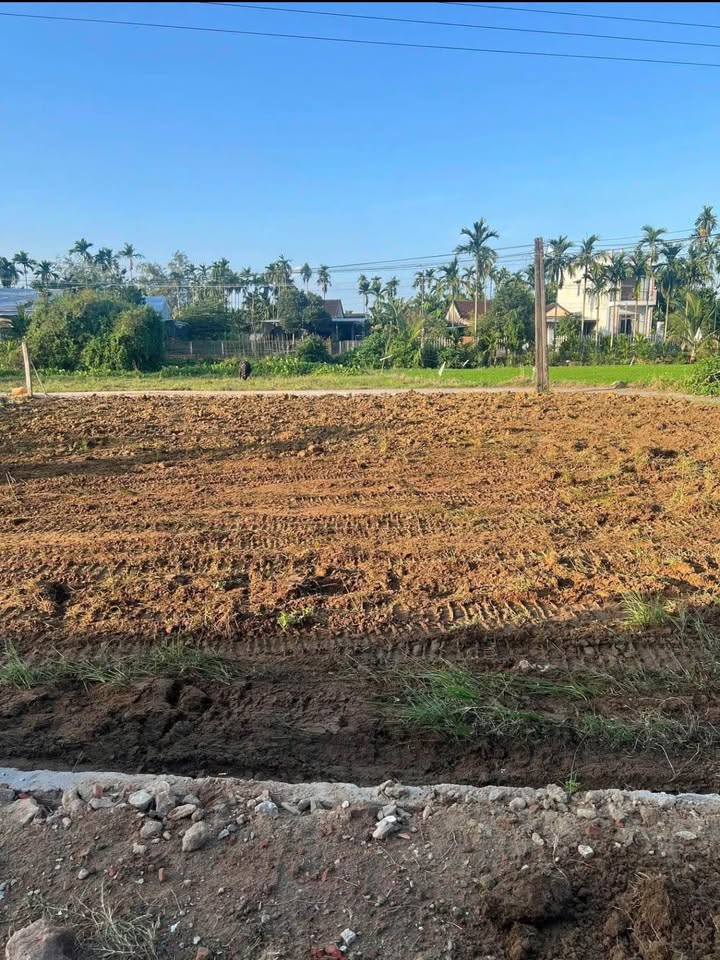 Đất Vườn Mini Nghĩa Trung, Tư Nghĩa - 400m² Sổ Đỏ, Ô Tô Tới Nơi