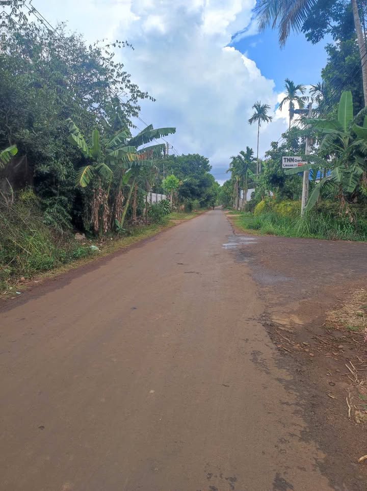 Đất nền Tân Lập BMT 210m² từ 2.35 tỷ - Tiềm năng tăng giá vượt trội!