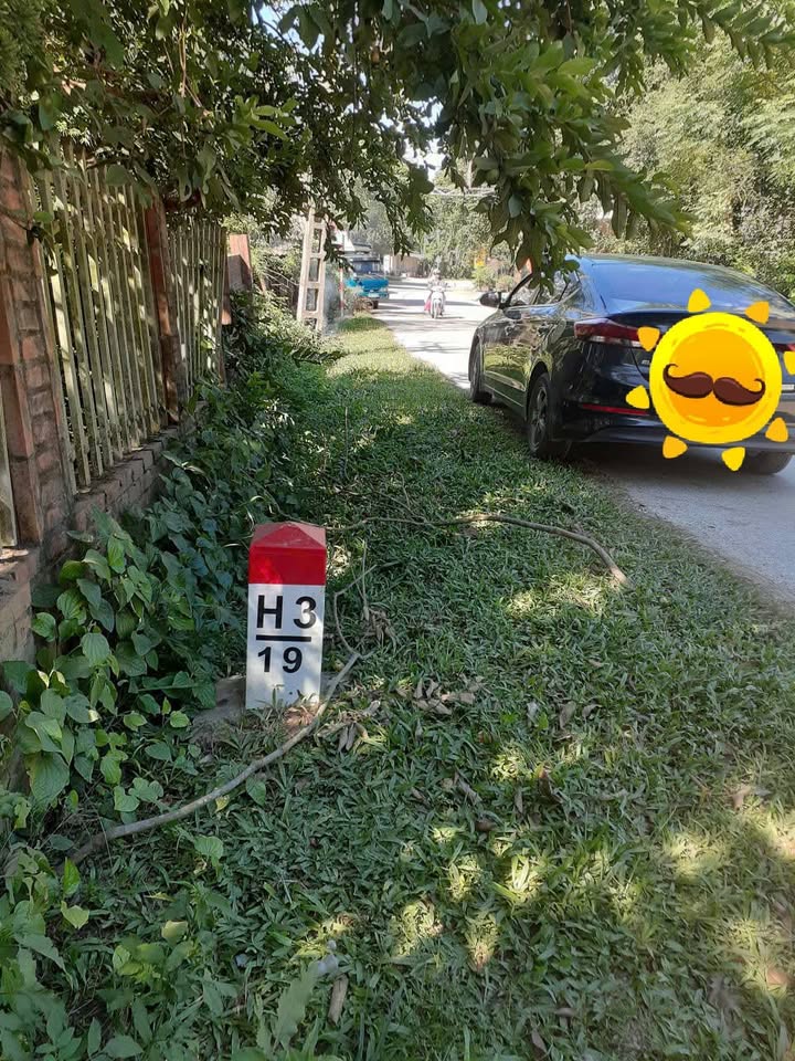 Đất Nền Tỉnh Lộ 514 Như Thanh, Thanh Hóa - 430m² Giá Tốt