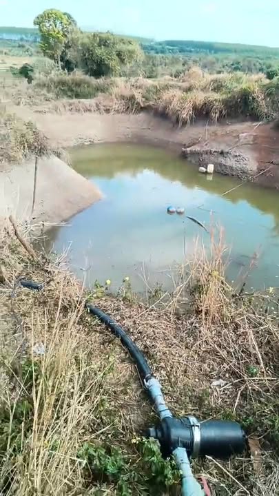 Rẫy Cà Phê Ia Ko, Chư Sê 1.7 ha - Sổ Đỏ Chính Chủ