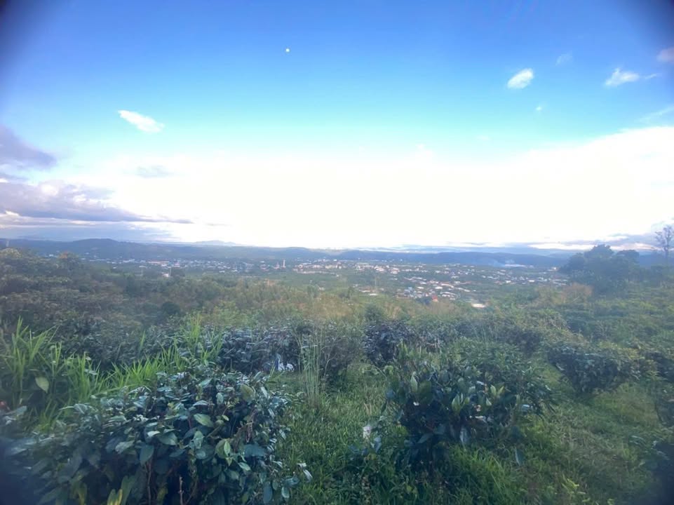 Đất nền Lộc Thành Bảo Lâm 7000m² - View săn mây cực đỉnh!