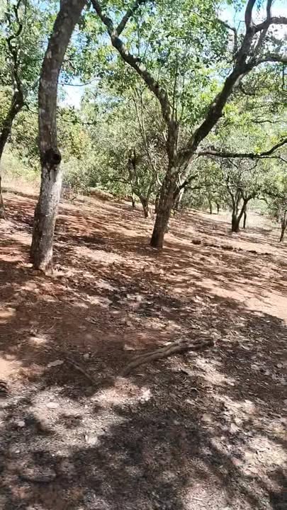 Đất nền Xã Phước Sơn, Đồng Nai 2.14ha - Tiềm năng tăng giá!