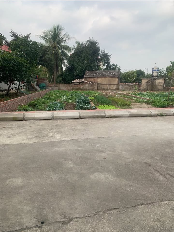 Đất nền Quyết Tiến, Tiên Lãng 100m² - Tiềm năng tăng giá vượt trội!