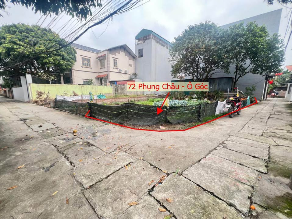 Đất Lô Góc Phụng Châu, Chương Mỹ 72m² - Sổ Đỏ, Ô Tô Tận Đất