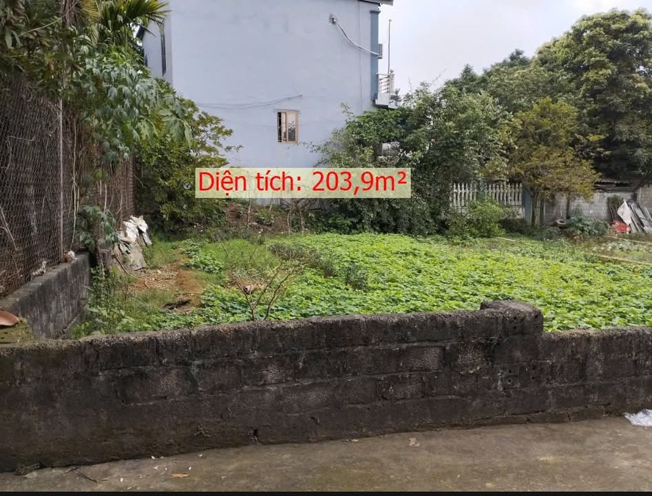 Đất nền Chương Mỹ 203.9m² giá 5.9 tỷ - Sổ đỏ chính chủ!