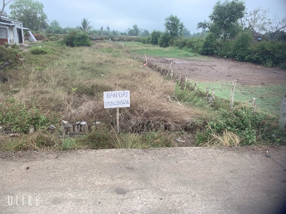 Đất nền Phường Tân Thành, Cà Mau 748m² - Đất thổ cư 100%!