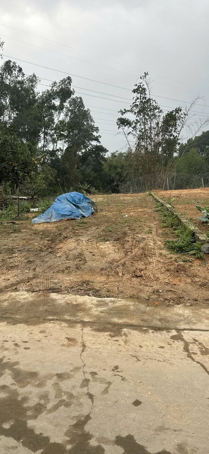 Đất nền Thịnh Đán Thái Nguyên 150m² - Đường to ô tô, xây dựng tự do!