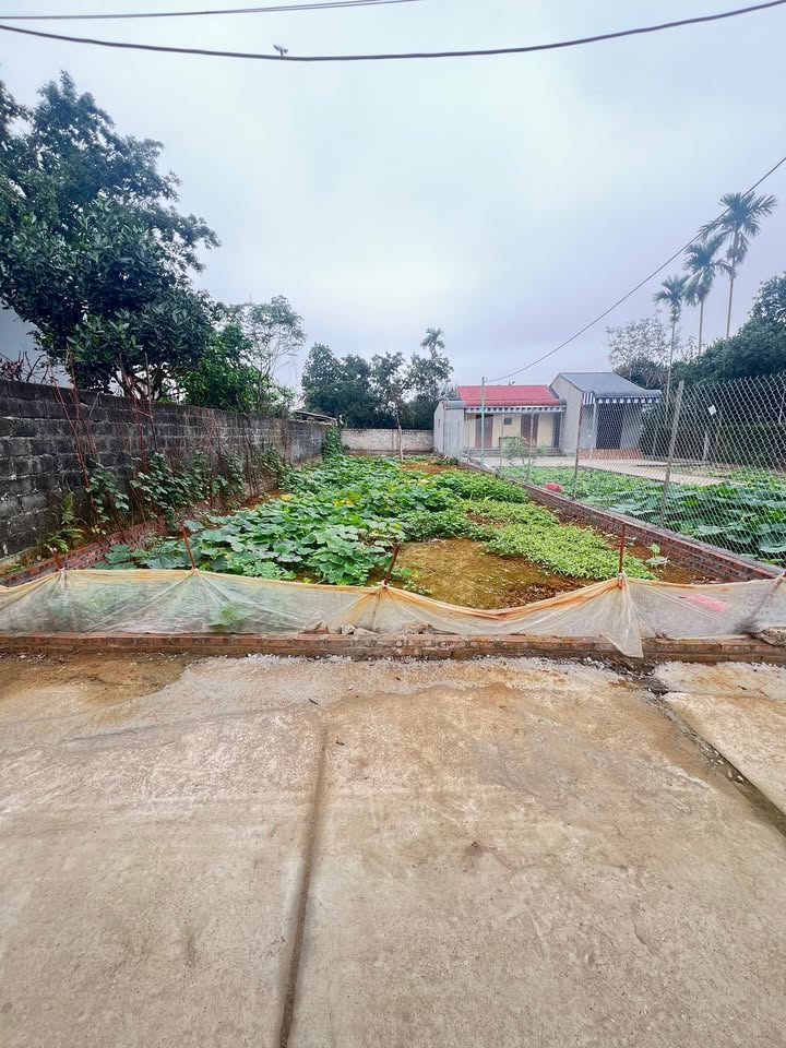 Đất nền Hòa Thạch, Quốc Oai 193m² - Sổ đỏ chính chủ, công chứng ngay!