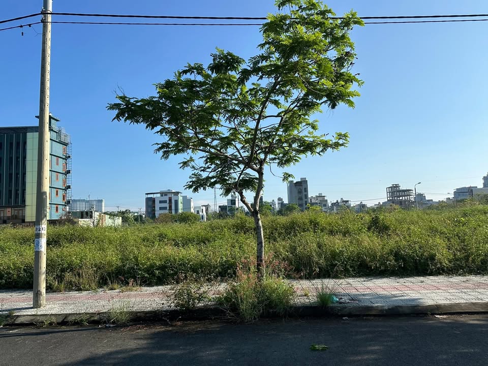 Đất nền Hội An 248m² giá 15 tỷ - Tiềm năng tăng giá vượt trội!