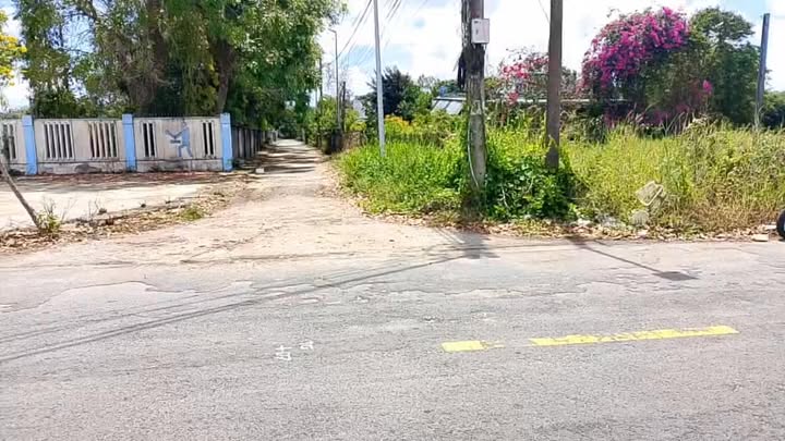 Đất nền Phan Đăng Lưu, Long Điền 203m² - Đất thổ cư 100%!