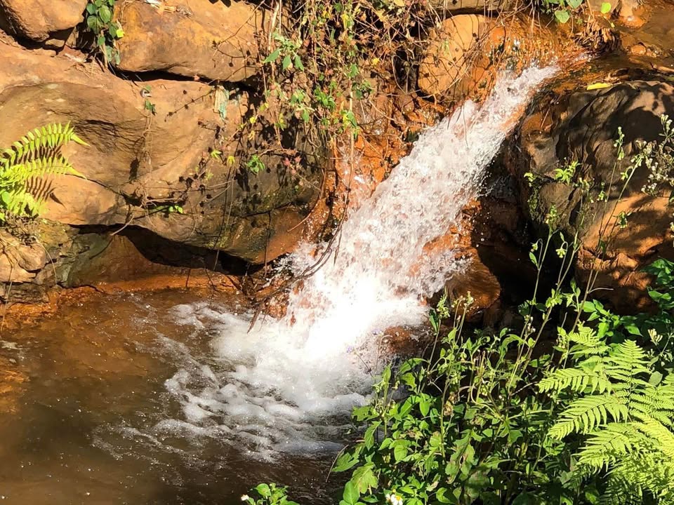 Đất Vườn Buôn Hồ 5 Sào 1.2 Tỷ View Suối Nghỉ Dưỡng Lý Tưởng