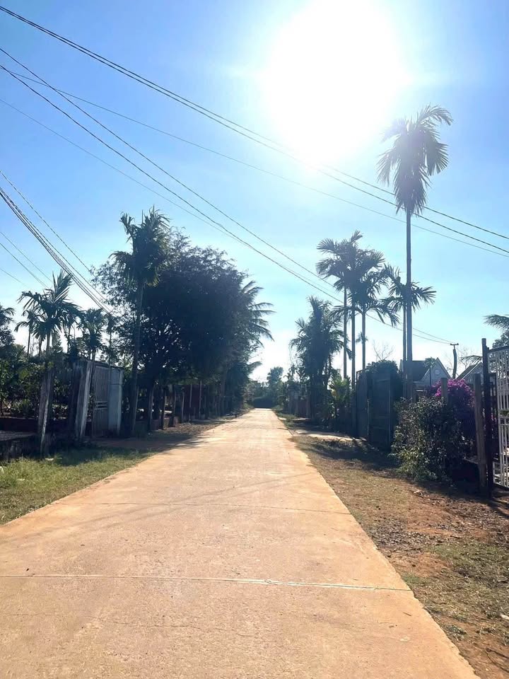 Đất nền Cuôr Đăng 300m² giá 1.25 tỷ - Sổ hồng chính chủ!