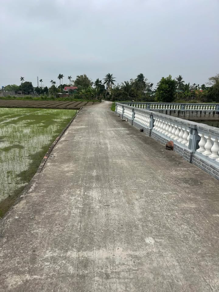 Đất nền Thái Hưng, Thái Thụy 150m² - Giá chỉ 4xx triệu, ô tô tận nơi